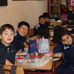 Día de la Actividad Física